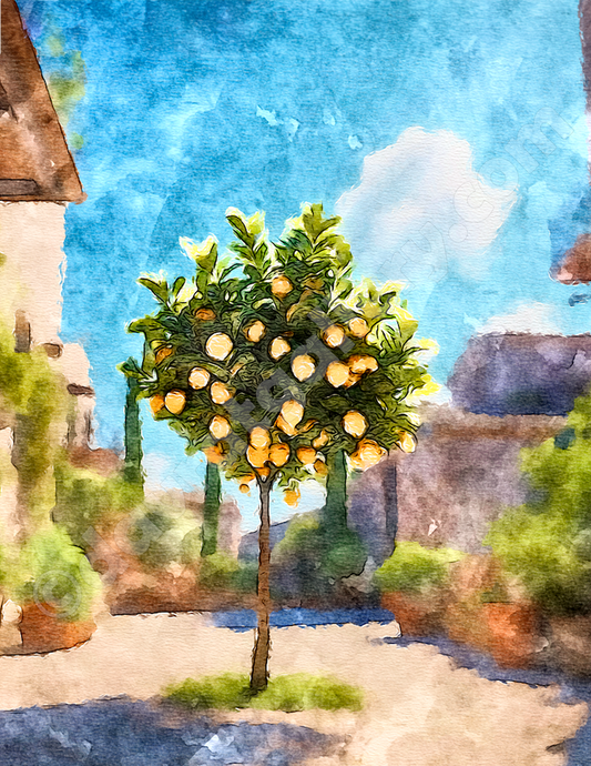 Lemon Tree