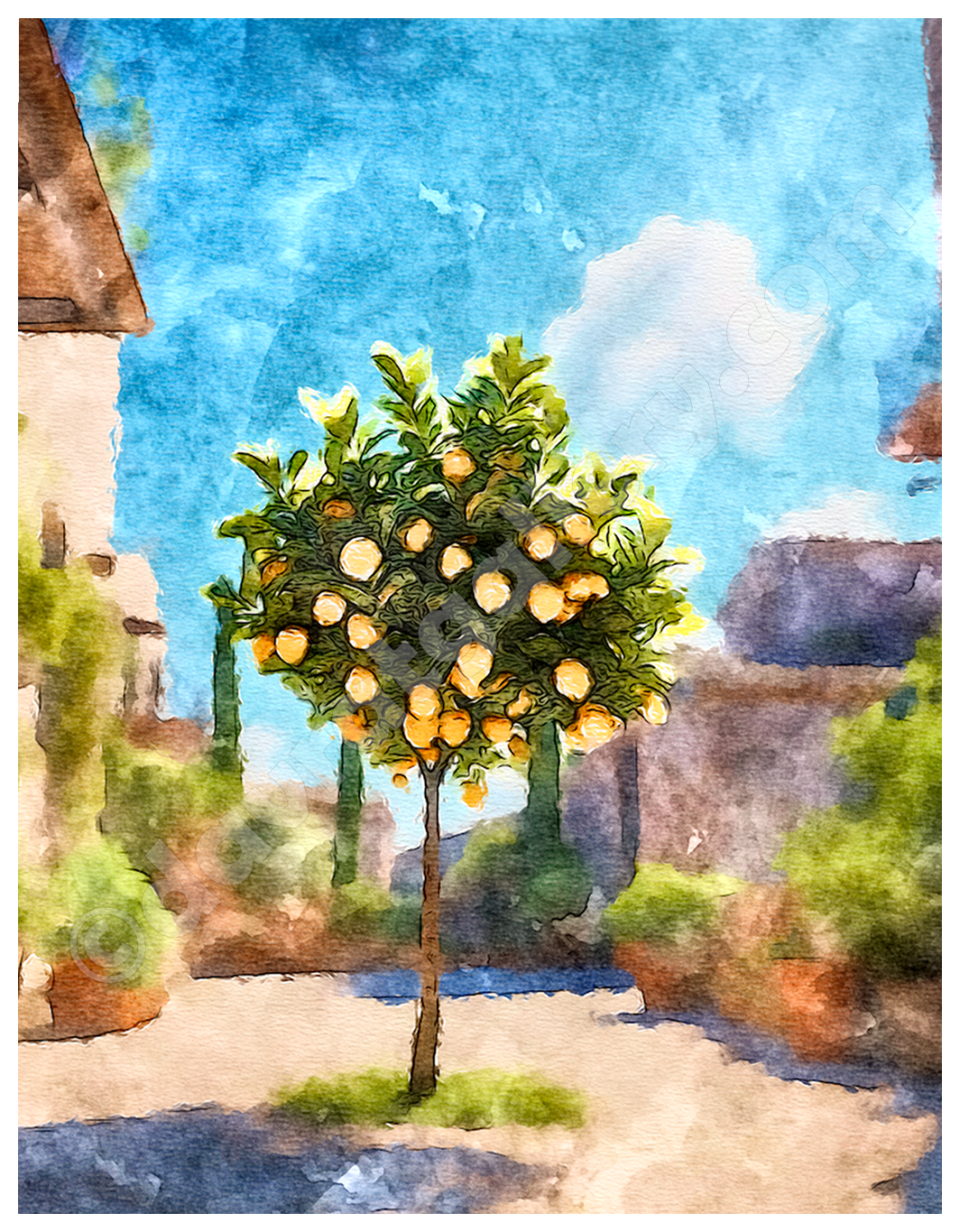 Lemon Tree