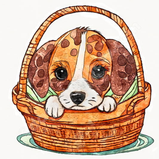 Lonely in a Basket